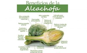 Beneficios de la alcachofa - Vegasana - producto de calidad - 100% natural